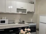 Izdavanje, jednosoban stan, 45m², Stari Aerodrom, Podgorica - image 4