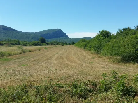 Prodaja, plac, 5257m², Ozrinići, Nikšić - image 1