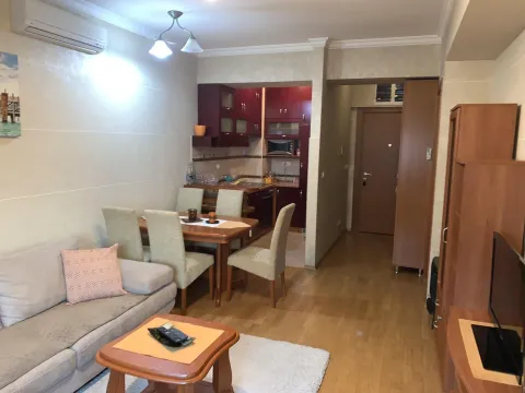 Izdavanje, jednosoban stan, 42m², Centar, Podgorica - image 2