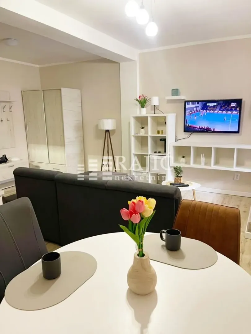 Living room with a dining area in the apartment.
