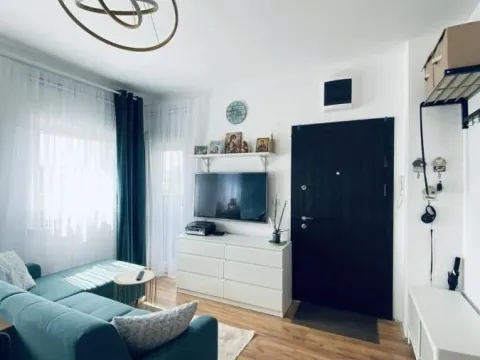 Sale, one bedroom apartment, 30m², Veternik, Novi Sad Sve Podlokacije - image 3