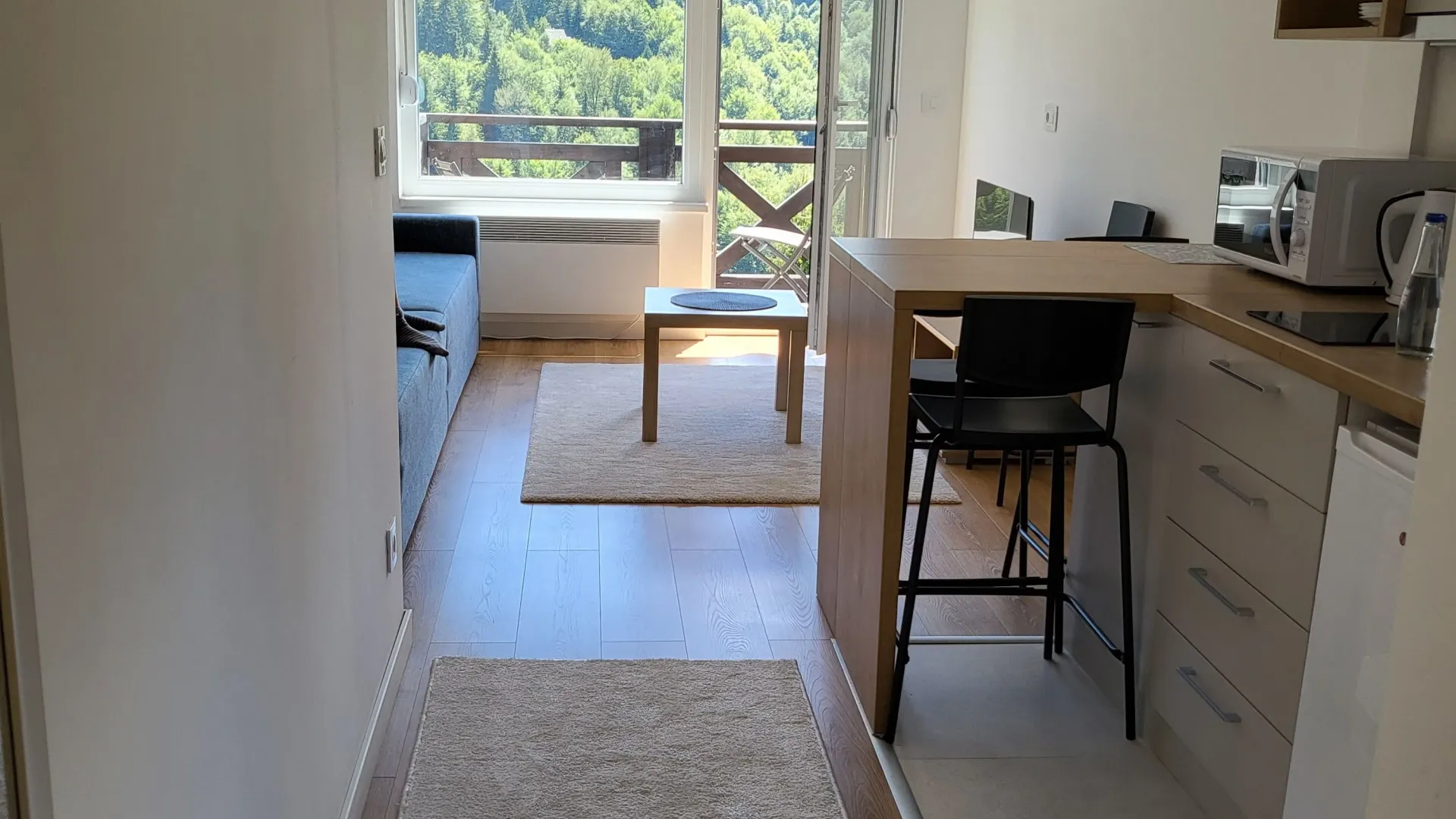 Prodaja, garsonjera, 27m², Treska, Kopaonik