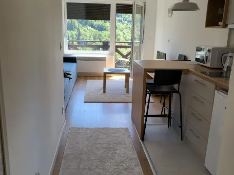 Prodaja, garsonjera, 27m², Treska, Kopaonik - image 8