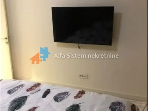 Izdavanje, dvosoban stan, 54m², Savski Venac, Beograd - image 11