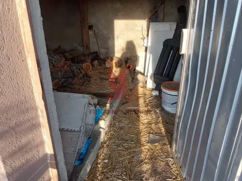 Sale, office space, 997m², Rabrovac, Mladenovac - image 15