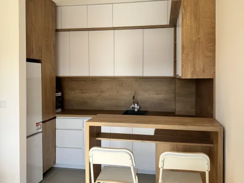 Izdavanje, jednosoban stan, 47m², Zabjelo, Podgorica - image 5