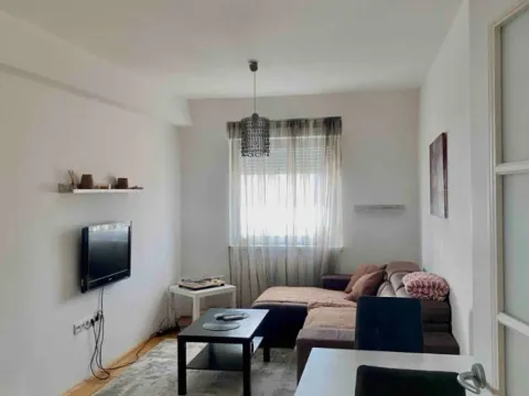 Izdavanje, jednosoban stan, 50m², Zabjelo, Podgorica - image 2