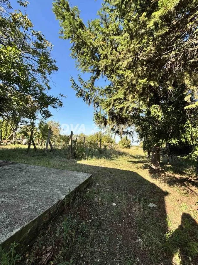 Prodaja, kuća, 30m², Čortanovci, Inđija