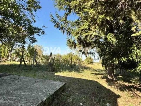 Prodaja, kuća, 30m², Čortanovci, Inđija - image 3