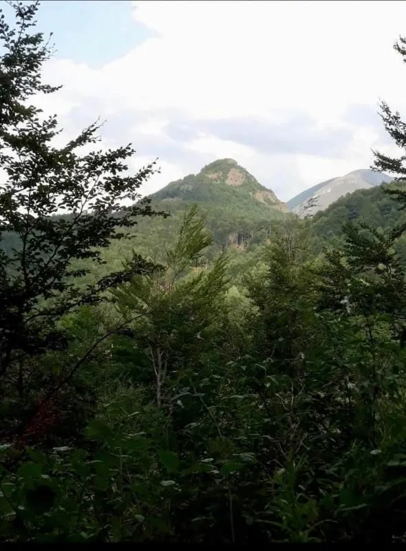 Prodaja, plac, 70000m², Mojkovac, Crna Gora
