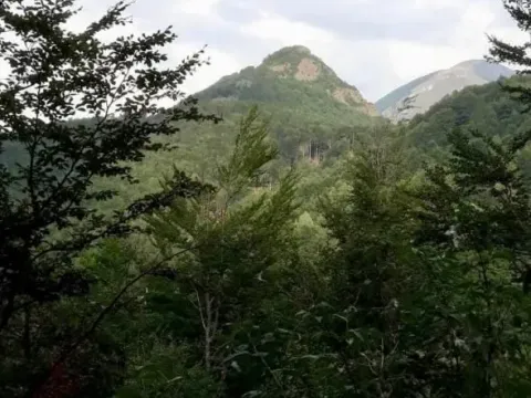 Prodaja, plac, 70000m², Mojkovac, Crna Gora - image 7