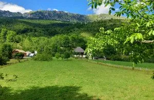Prodaja, plac, 8124m², Gornje Lipovo, Kolašin - image 2