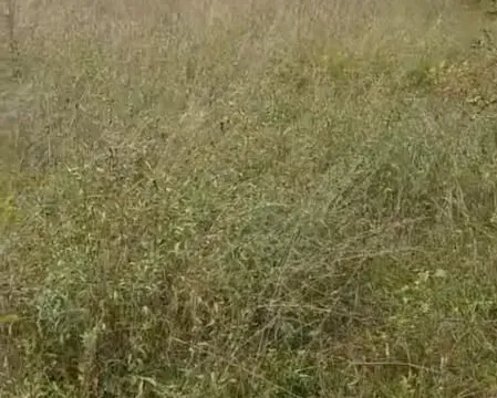 Prodaja, kuća, 45m², Nikšić, Crna Gora - image 8