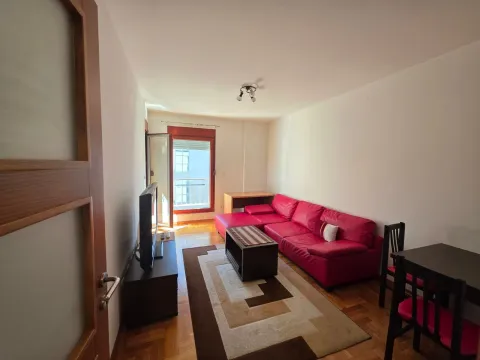 Izdavanje, jednosoban stan, 40m², Pobrežje, Podgorica - image 5