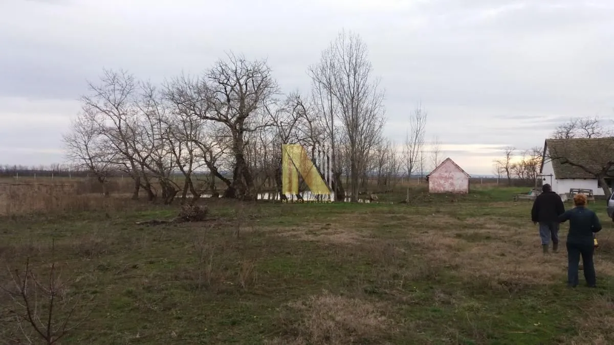 Prodaja, plac, 74000m², Žabalj, Srbija