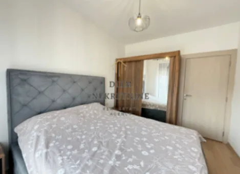 Izdavanje, jednosoban stan, 44m², Zabjelo, Podgorica - image 4