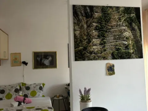 Izdavanje, garsonjera, 30m², Topla, Herceg Novi - image 3