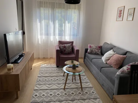 Izdavanje, jednosoban stan, 40m², Centar, Kolašin - image 2