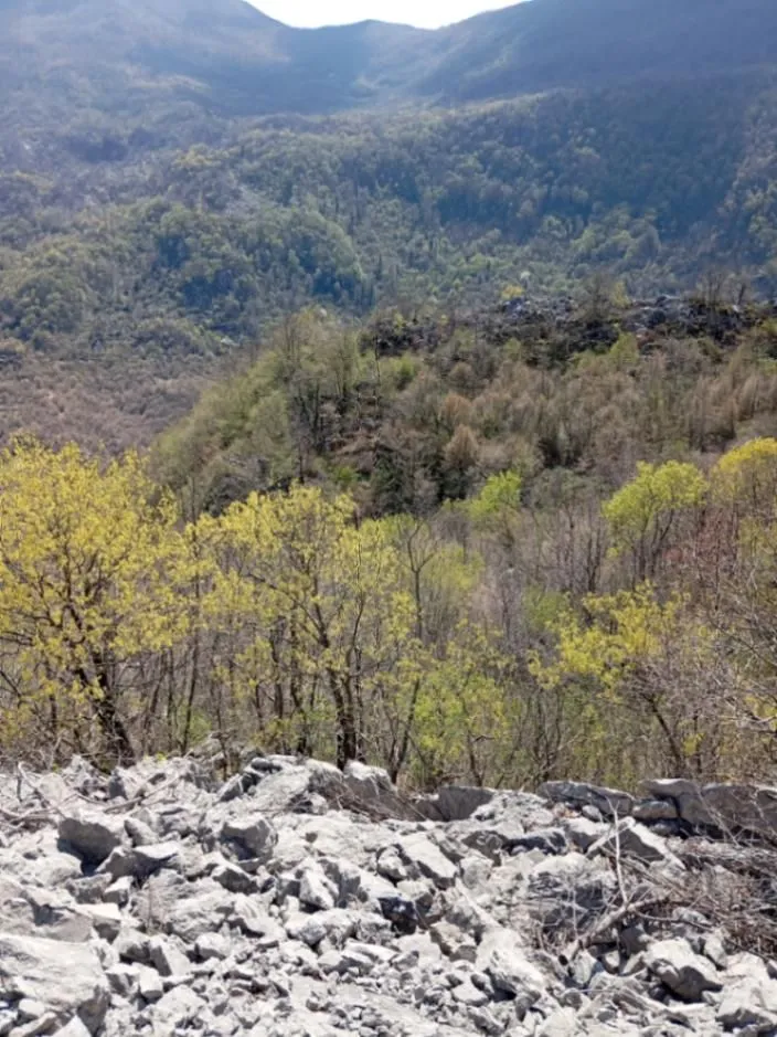  Land Lot for Sale, 15189m2, Bar