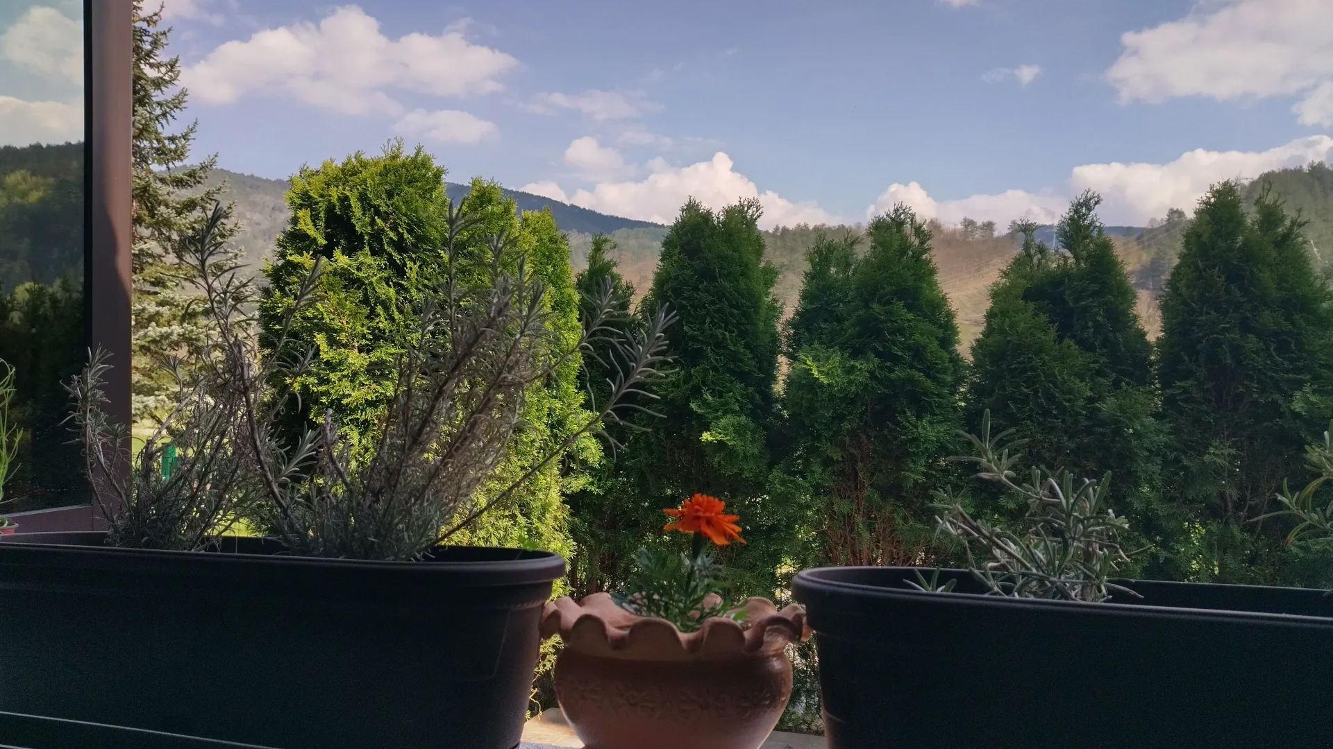 Prodaja, jednosoban stan, 38m², Mokra gora, Tara