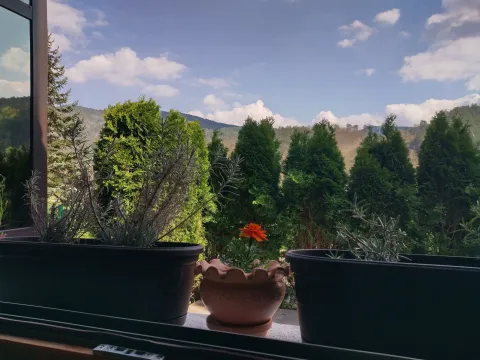 Sale, one bedroom apartment, 38m², Mokra gora, Tara - image 7