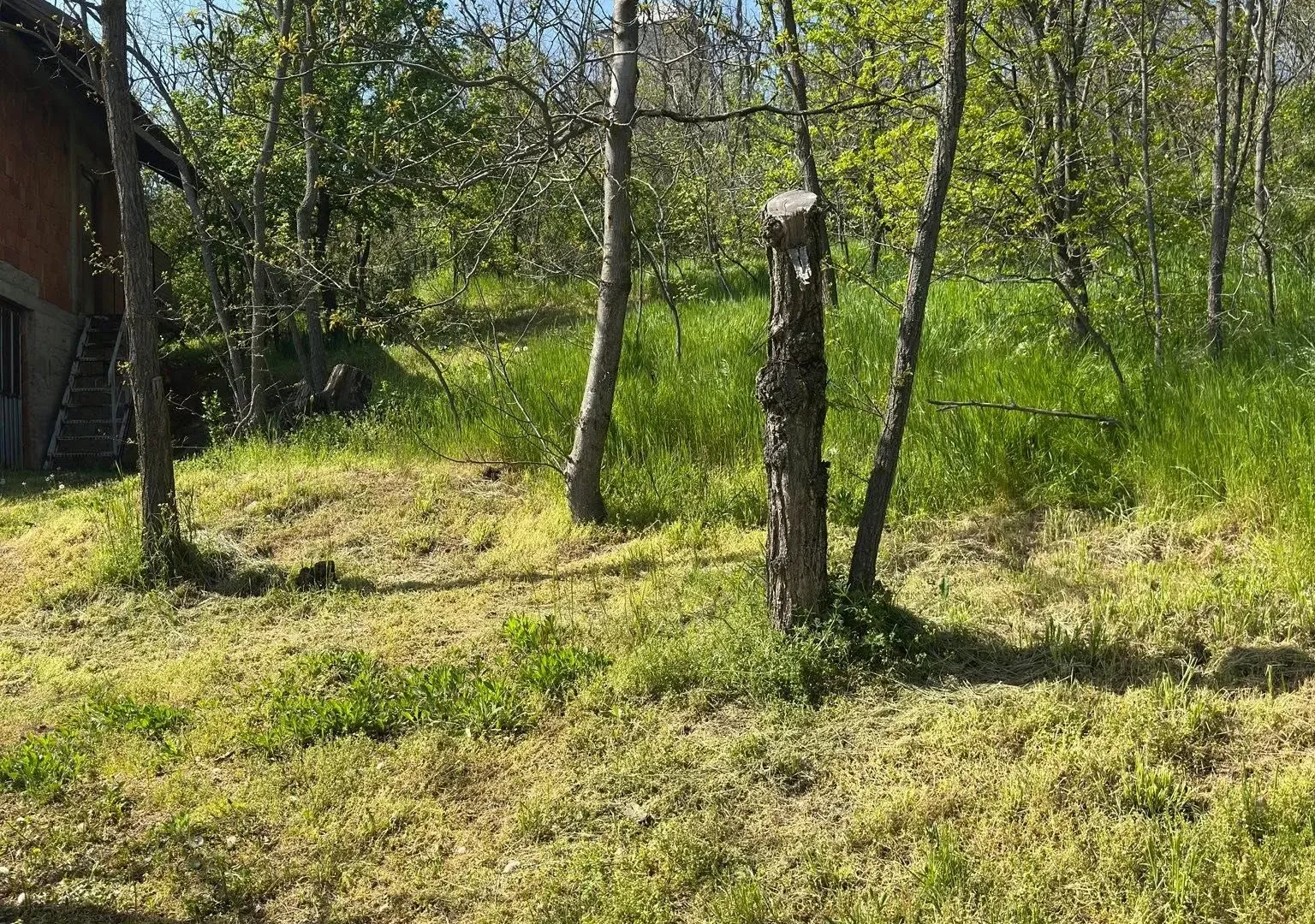 Prodaja, plac, 300m², Vršac, Srbija