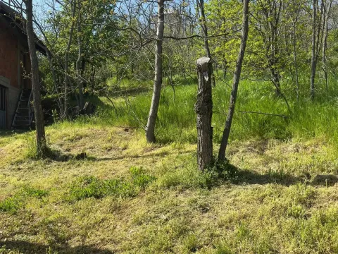 Prodaja, plac, 300m², Vršac, Srbija - image 3