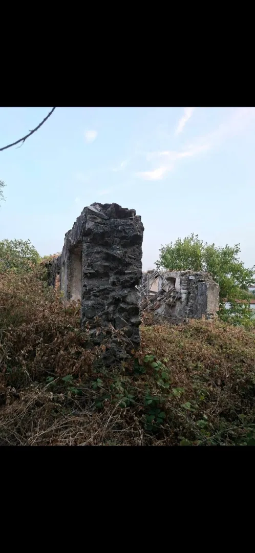 Ruševina starog kamenog objekta obrasla rastinjem.