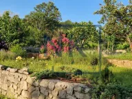 Sale, house, 250m², Kuči, Podgorica - image 11