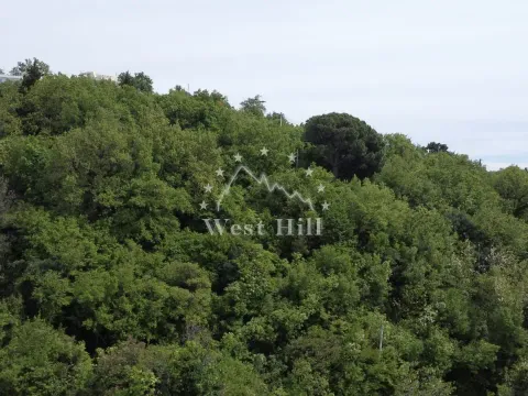 Prodaja, plac, 435m², Sutomore, Bar - image 3