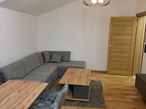 Izdavanje, jednosoban stan, 42m², Stari Aerodrom, Podgorica - image 4