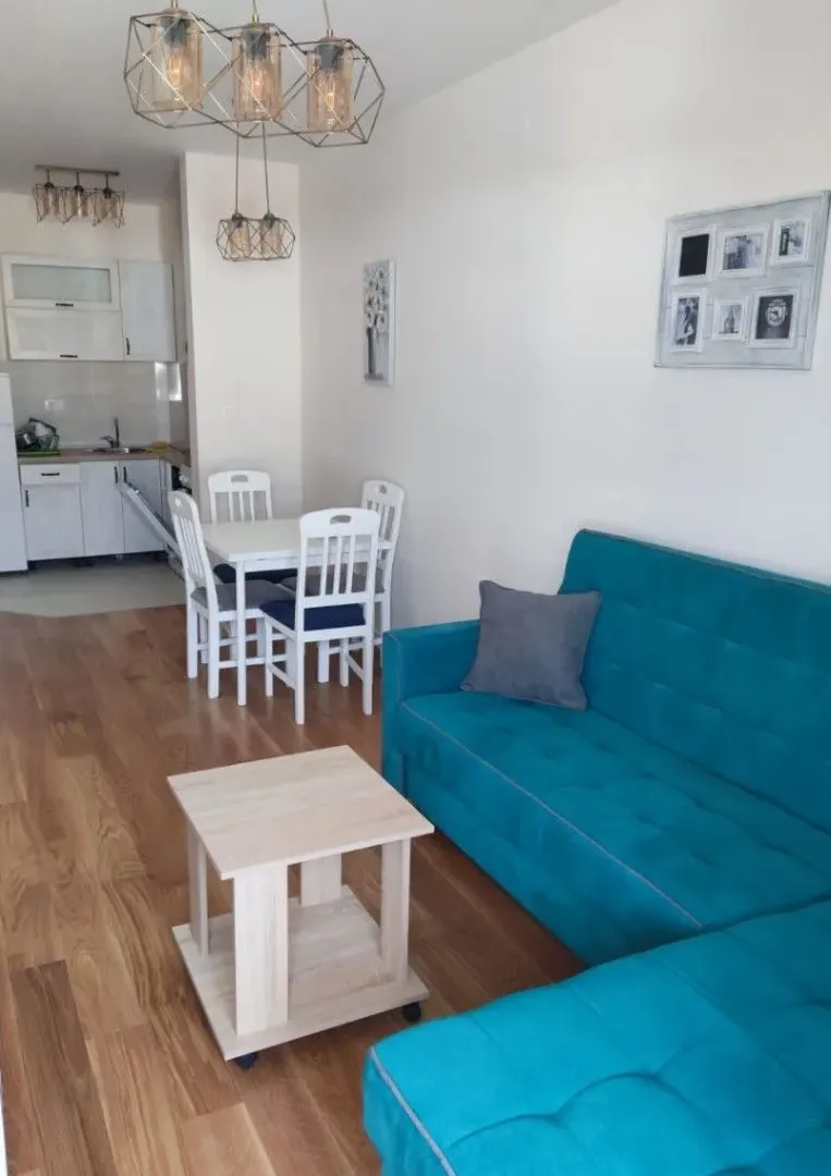 Rent, one bedroom apartment, 43m², Central Point, Podgorica