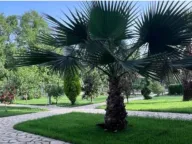 Sale, house, 800m², Ulcinj, Crna Gora - image 9