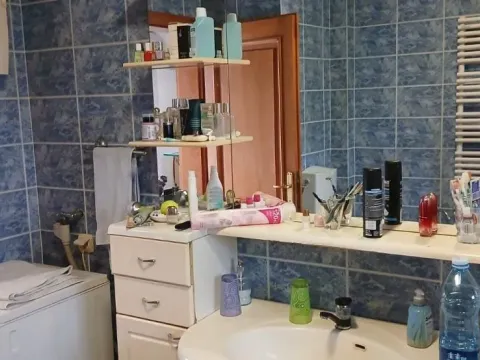 Prodaja, kuća, 192m², Amerić, Mladenovac - image 20