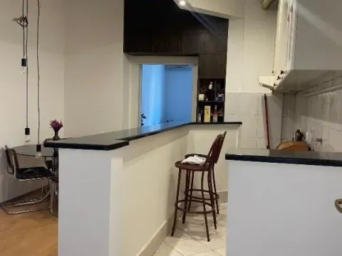 Izdavanje, jednosoban stan, 47m², Stari Grad, Beograd - image 4