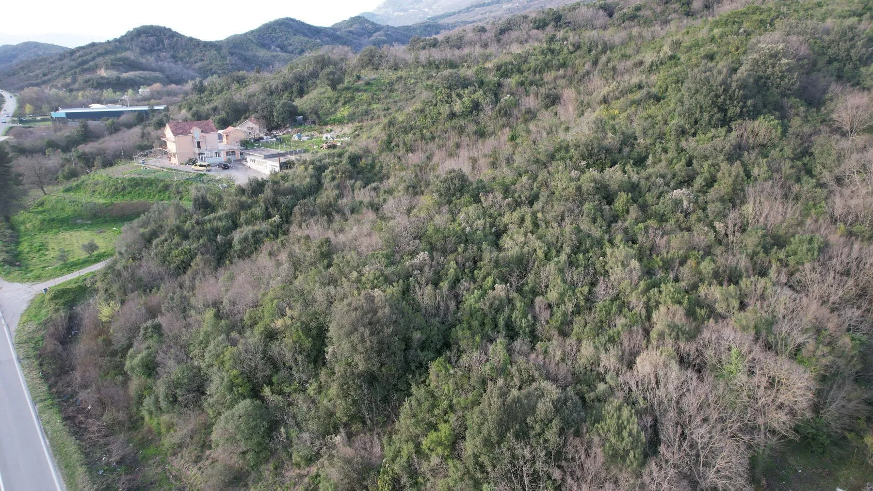 Prodaja, plac, 4000m², Radanovići, Kotor
