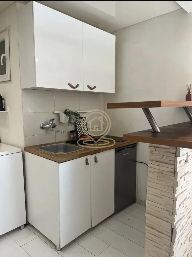 Rent, one bedroom apartment, 29m², Vračar Sve Podlokacije, Beograd