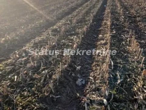 Prodaja, plac, 12100m², Futog, Novi Sad Sve Podlokacije - image 10