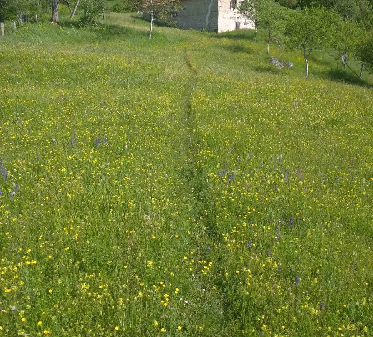 Prodaja, plac, 50263m², Plužine, Crna Gora