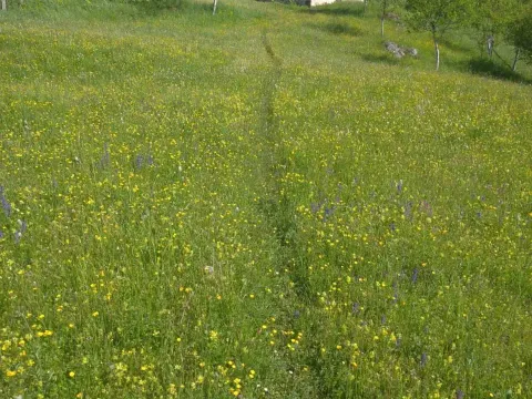 Prodaja, plac, 50263m², Plužine, Crna Gora - image 3