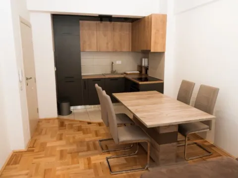 Izdavanje, jednosoban stan, 50m², Ljubović, Podgorica - image 10