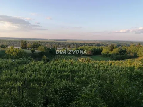 Sale, hospitality venue, 630m², Stari Slankamen, Inđija - image 78