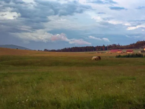 Sale, house, 220m², Zlatibor, Srbija - image 11