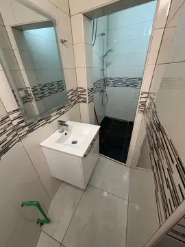 Small bathroom with a sink, mirror, and separate walk-in shower. - image 9