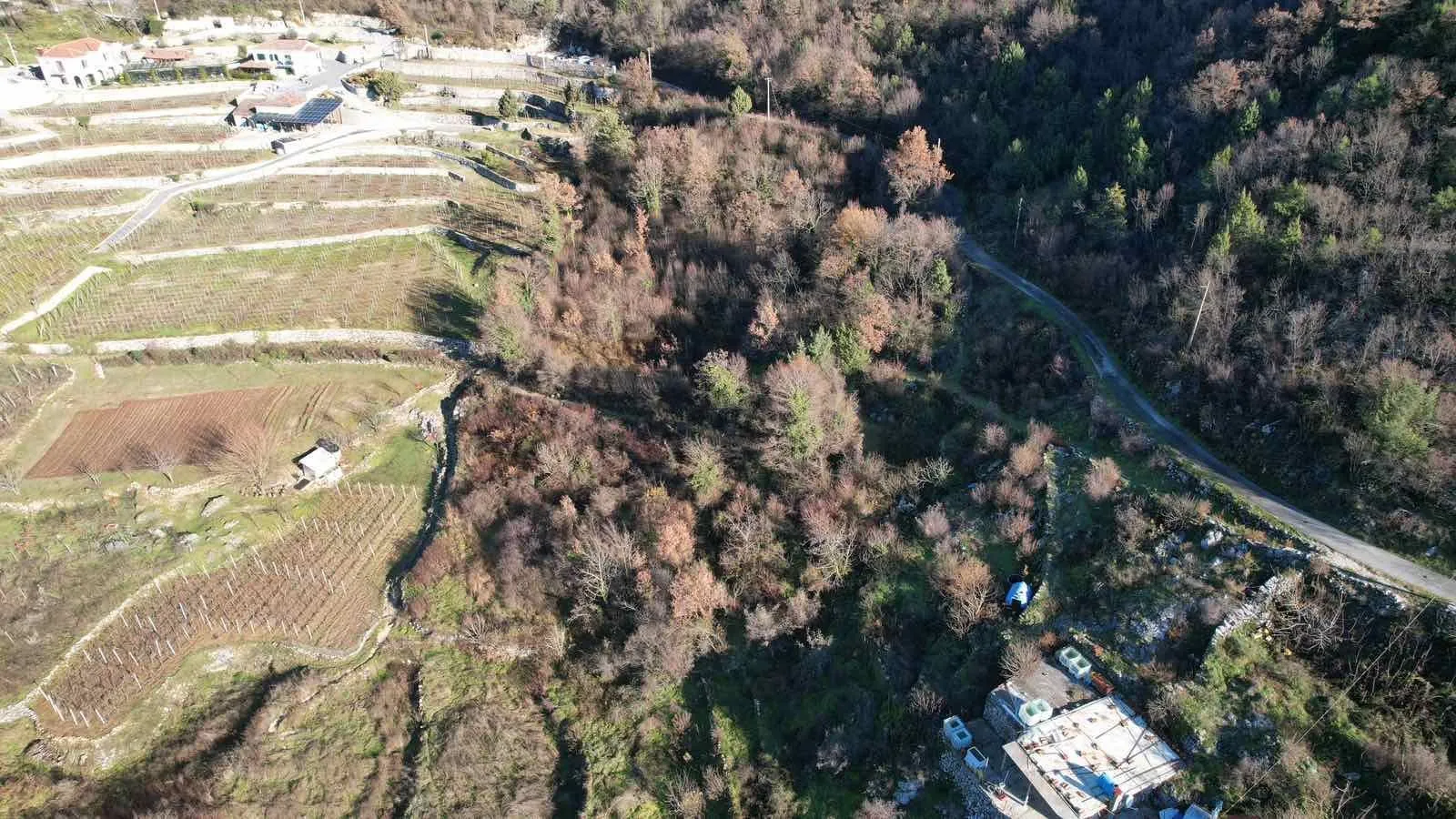 Prodaja, plac, 4400m², Cetinje, Crna Gora