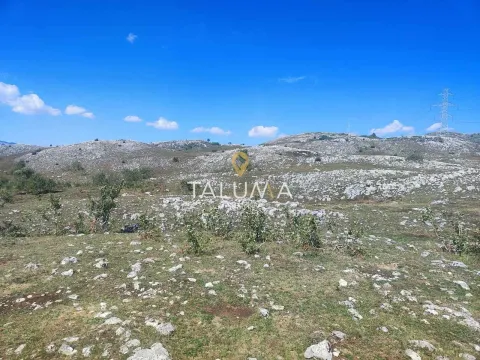 Prodaja, plac, 65000m², Žabljak, Crna Gora - image 3