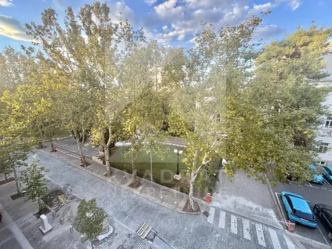 View from the window of the trees and the street in front of the building. - image 12