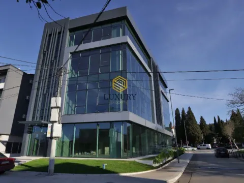 Rent, office space, 2542m², Centar, Podgorica - image 2