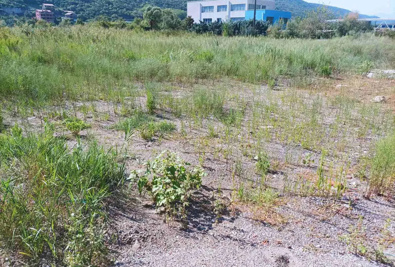 Prodaja, plac, 4400m², Kotor, Crna Gora