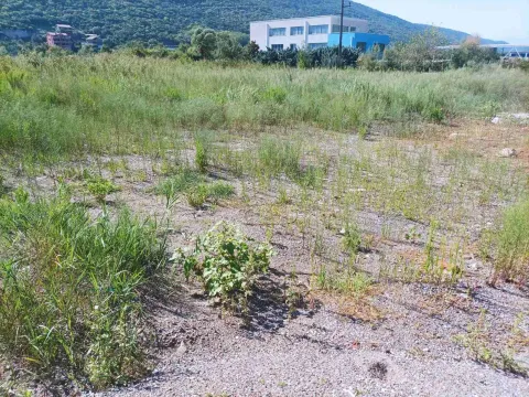 Prodaja, plac, 4400m², Kotor, Crna Gora - image 2